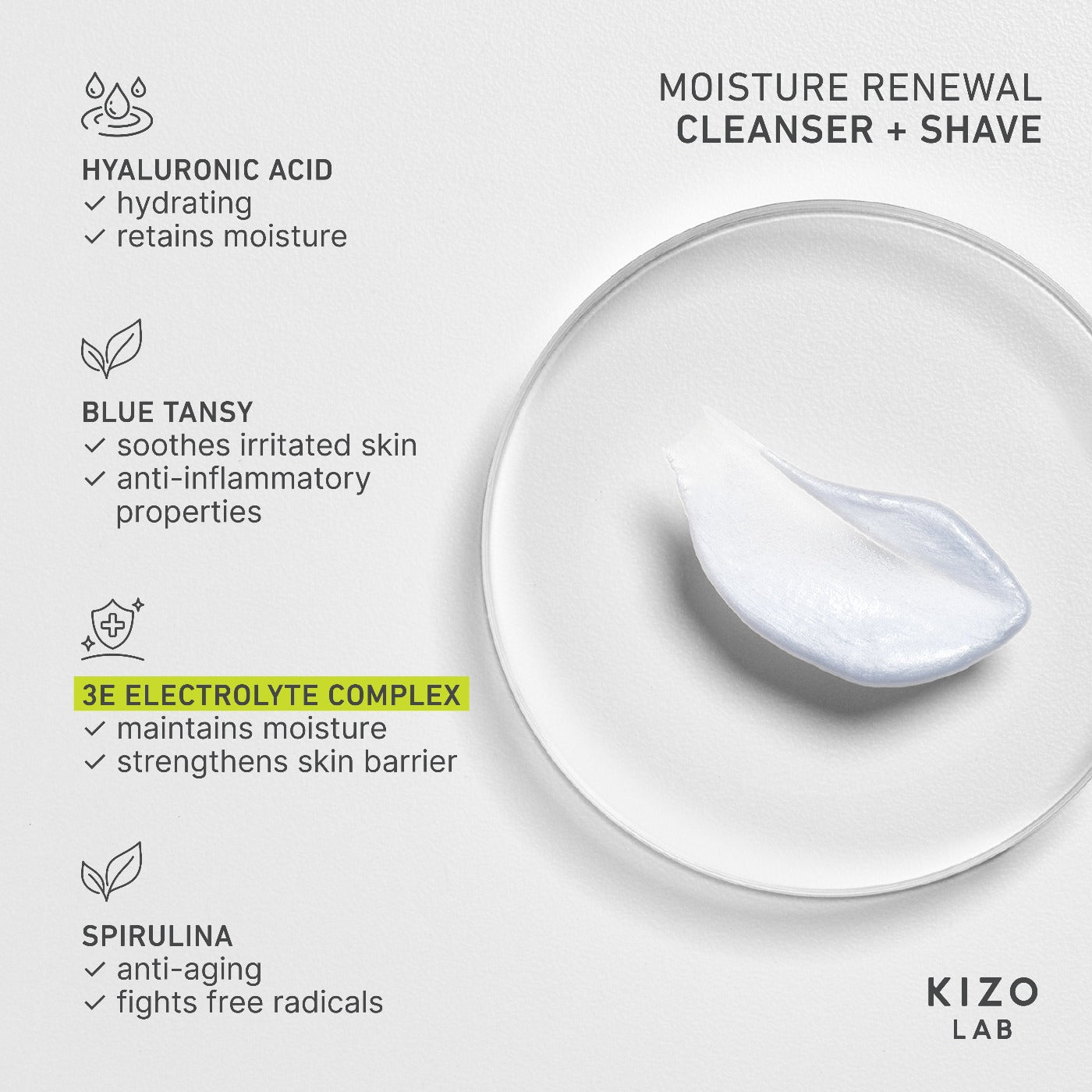 cleanser_i.jpg