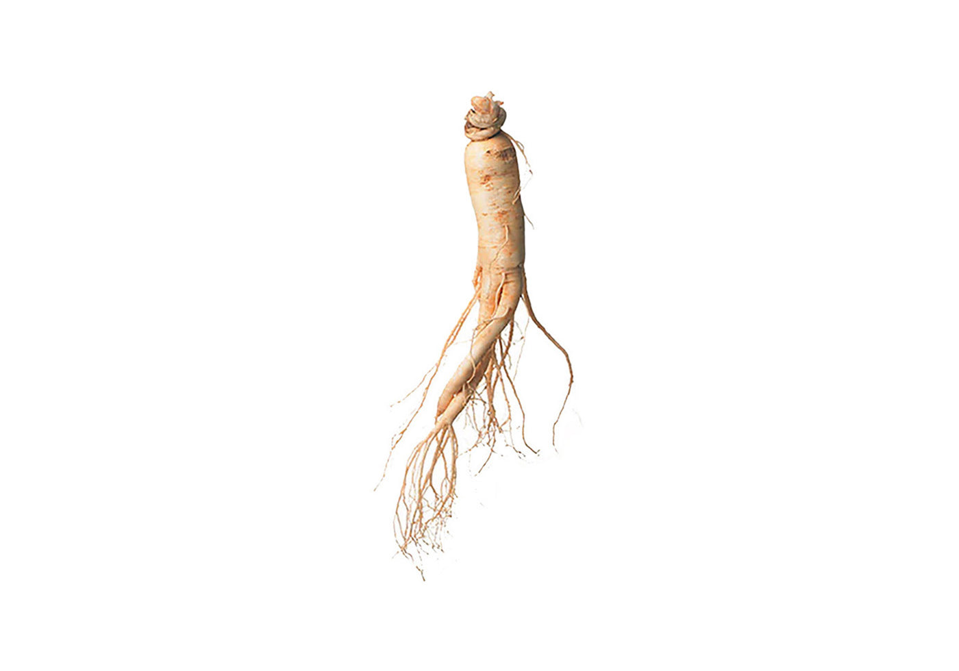 Red Ginseng